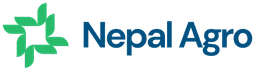 logo-2-4
