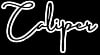 Client Project Logo