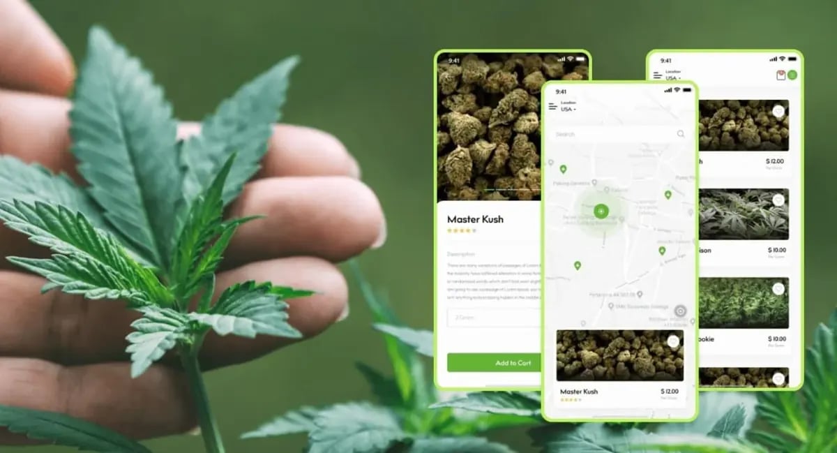 Everything You Should Know About Online Cannabis Delivery in the United States
