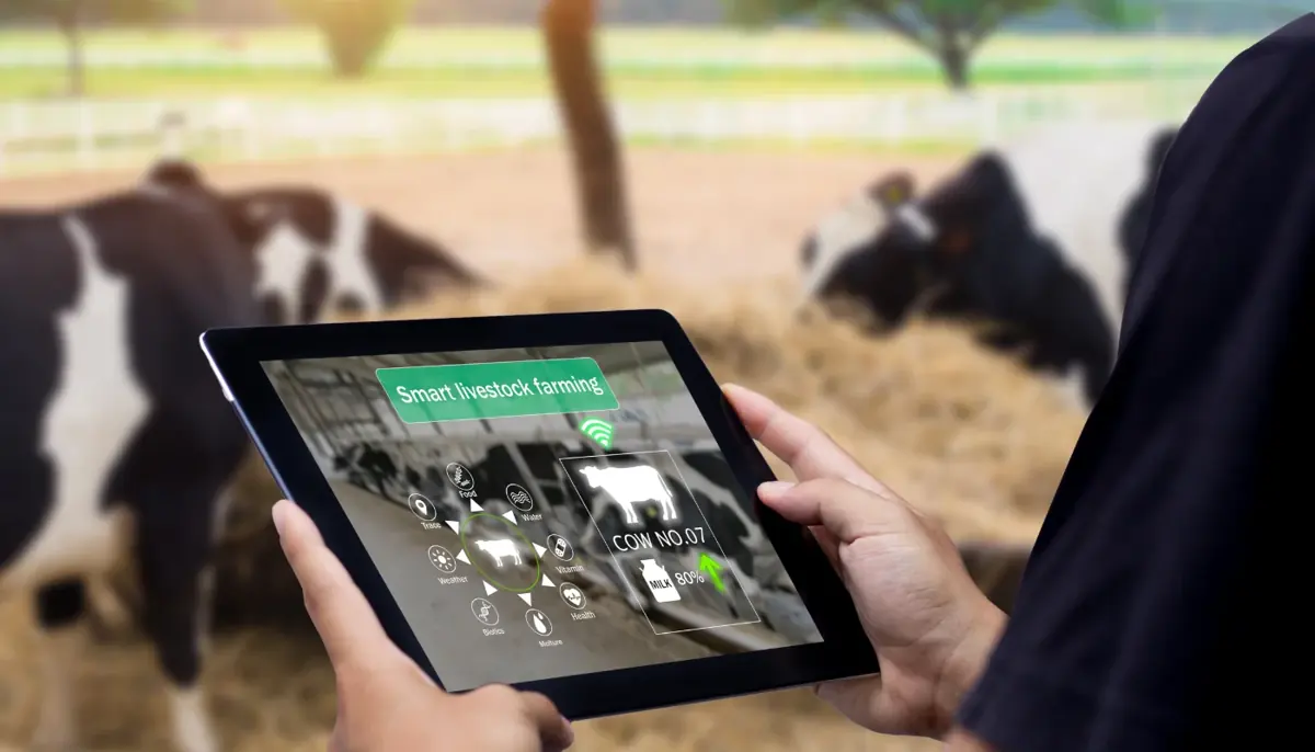 livesstock management