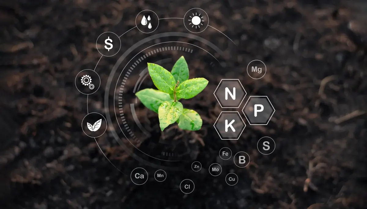 crop health monitoring