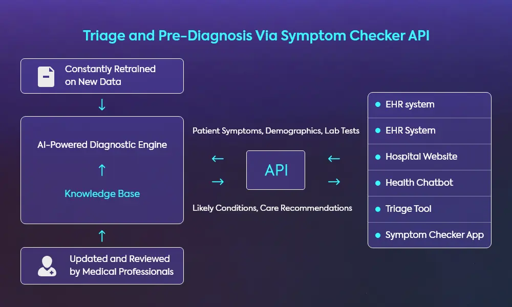 Working Process of a Symptom Checker
