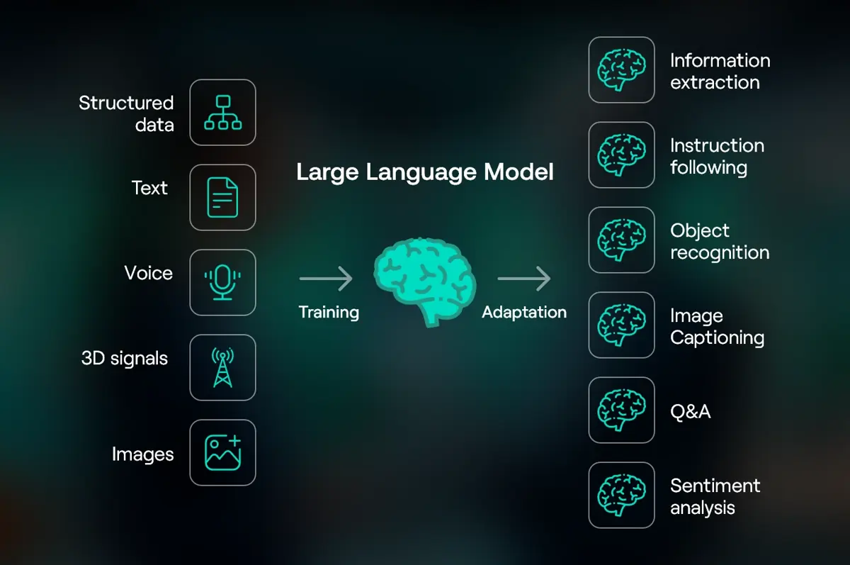 LLM (Large Language Model) – The First Step