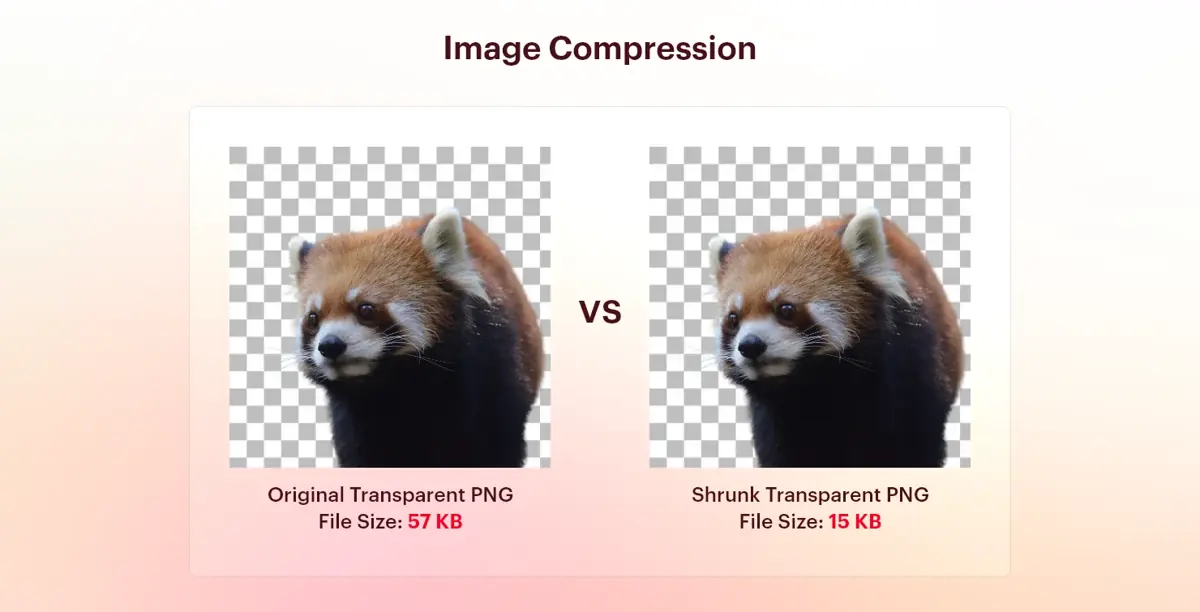 Decrease the Size of Large Images